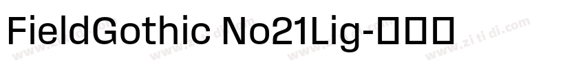 FieldGothic No21Lig字体转换